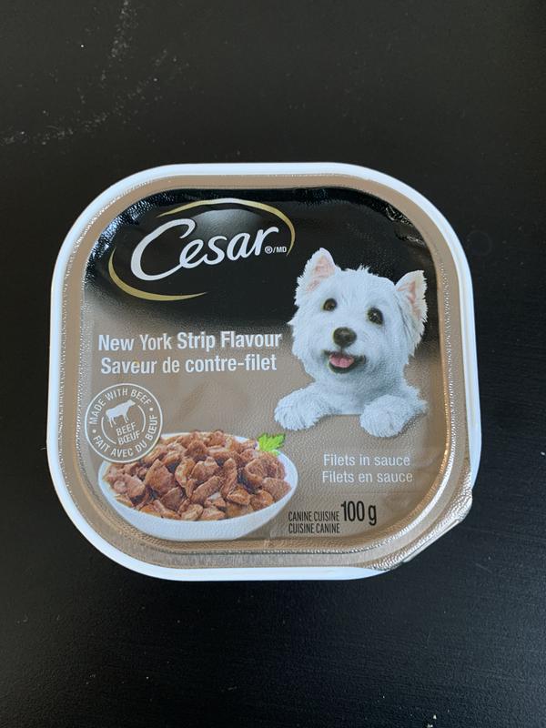 Photo - commentaire 1.