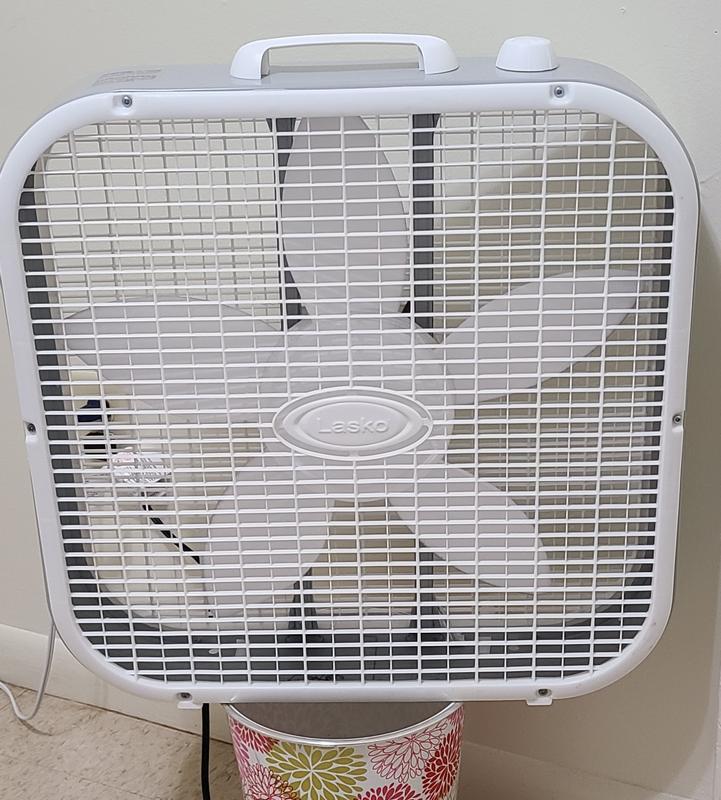 Photo - commentaire 3.