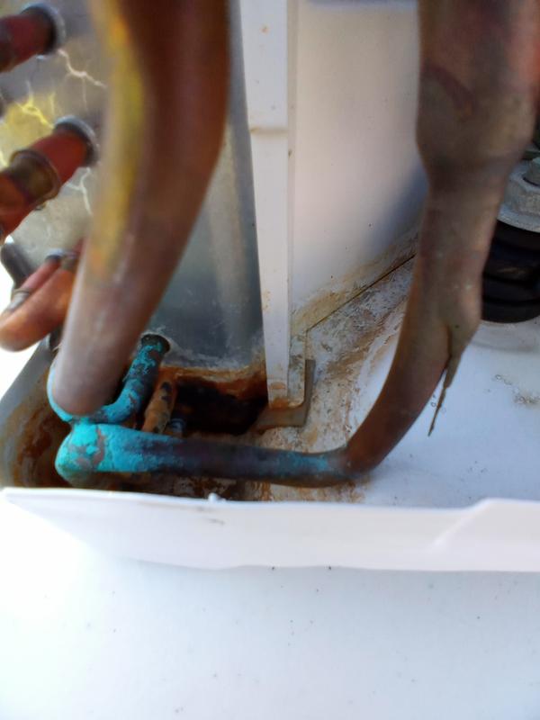 corner where the water collected and no place to drain