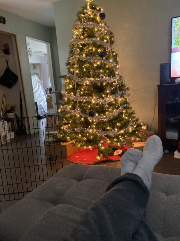 Photo - commentaire 3.