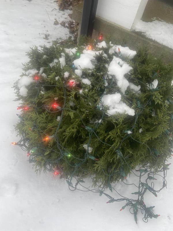 Photo - commentaire 2.