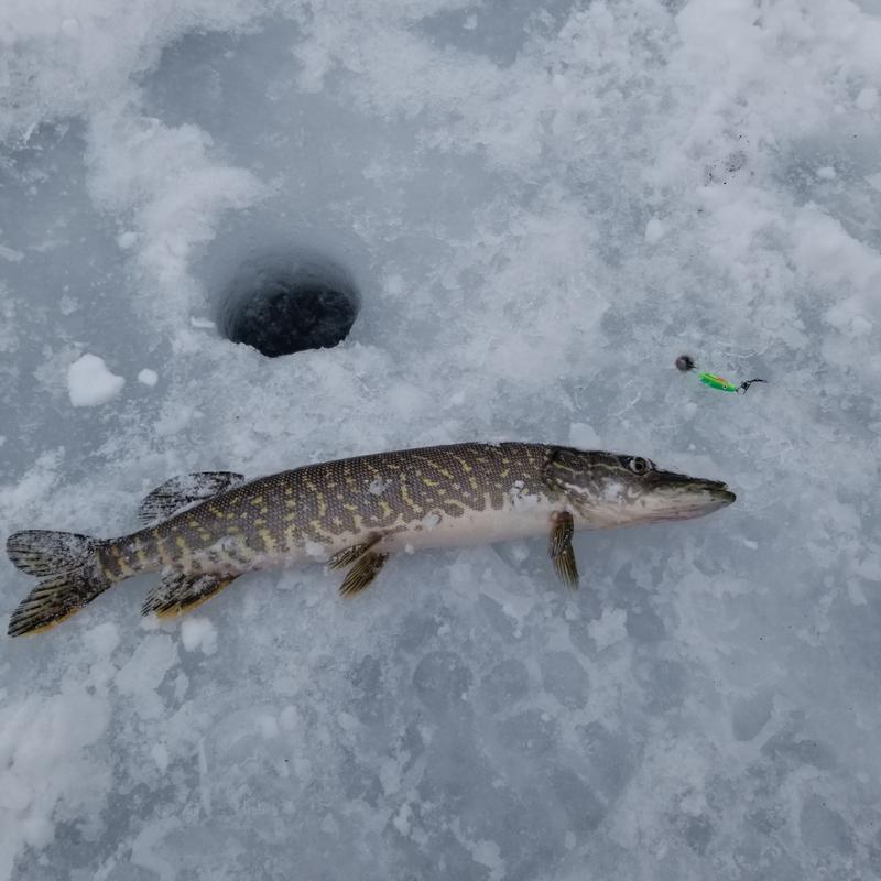 Photo - commentaire 3.