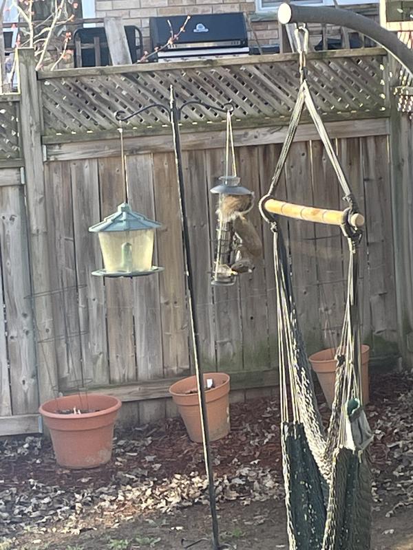 Photo - commentaire&nbsp;1.