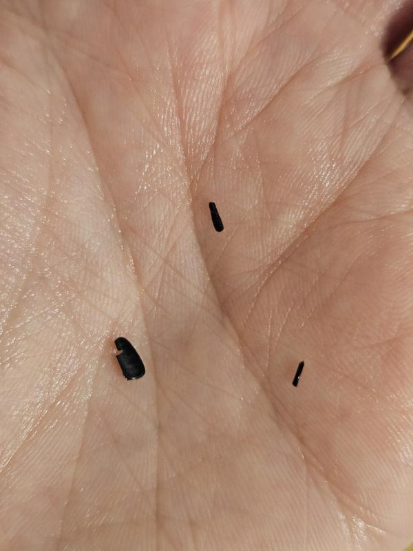 Plastic bits broken from chopper