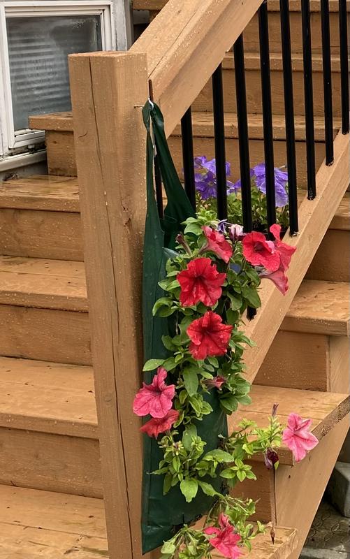 Photo - commentaire 1.