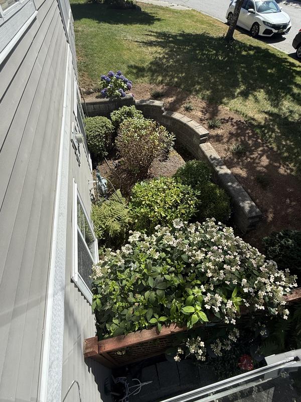 Zap strapped secured and works like a charm