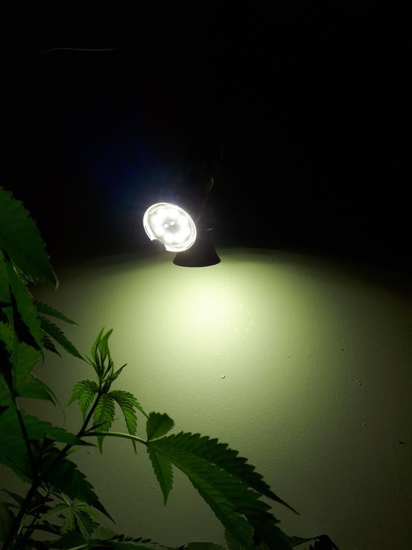 Photo - commentaire 6.