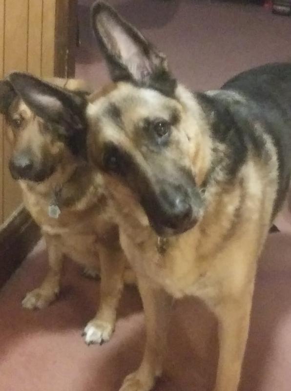 Photo - commentaire 7.