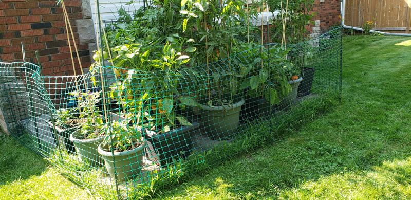 Photo - commentaire&nbsp;3.