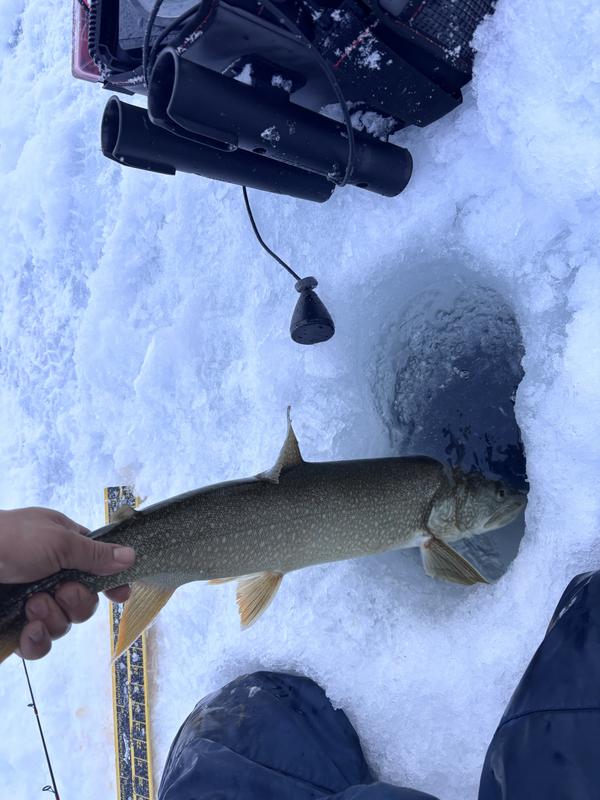 Photo - commentaire&nbsp;1.