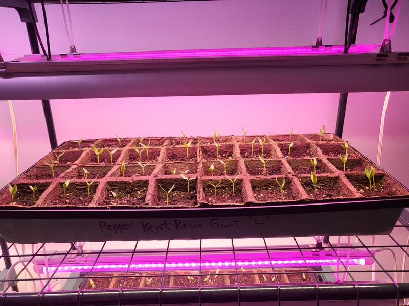 Photo - commentaire&nbsp;1.