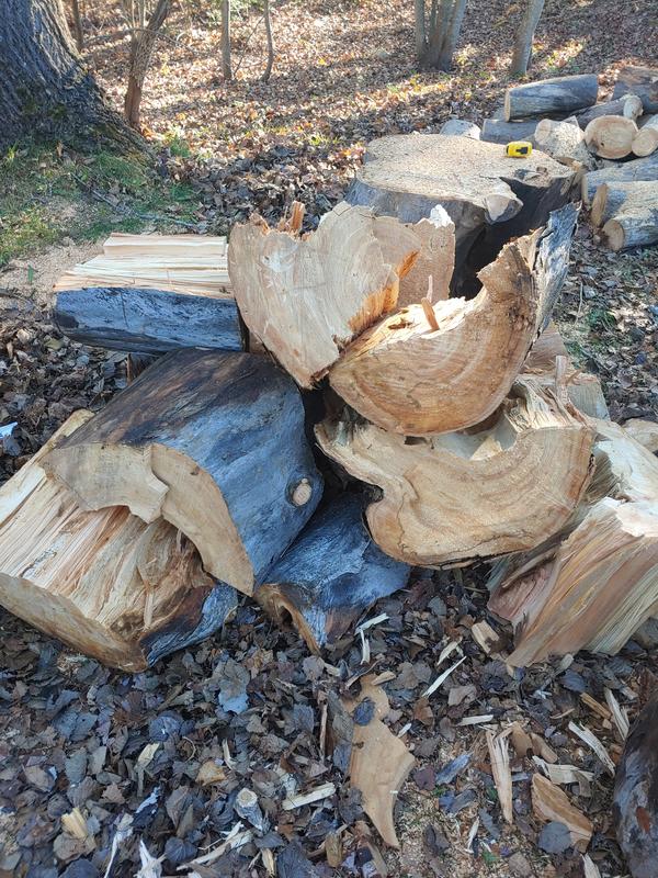 Photo - commentaire 5.