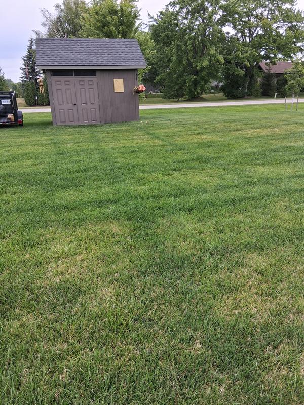 Photo - commentaire&nbsp;1.