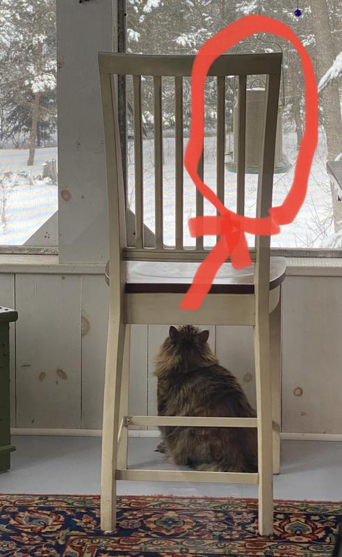 Photo - commentaire&nbsp;1.