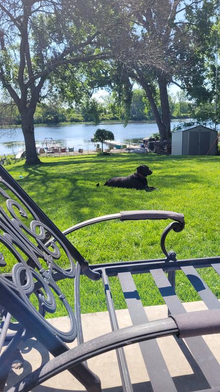 Photo - commentaire 1.