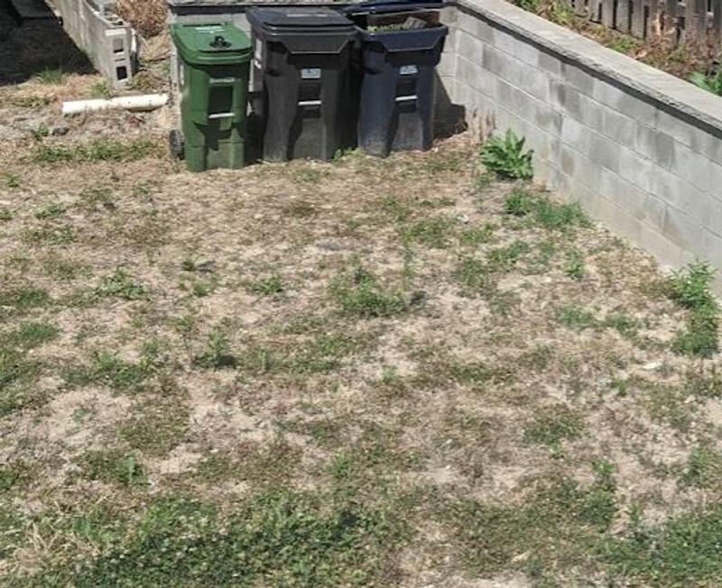 Before, 100% weeds, dried up clay heavy soil