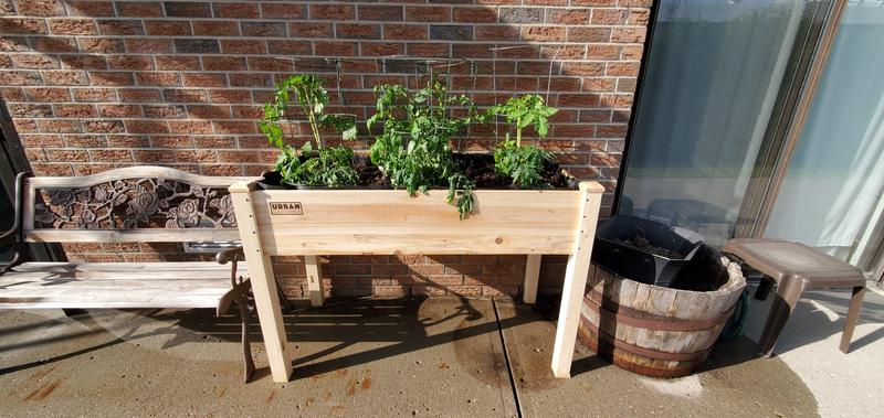 Photo - commentaire 1.