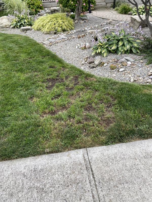 Photo - commentaire&nbsp;2.