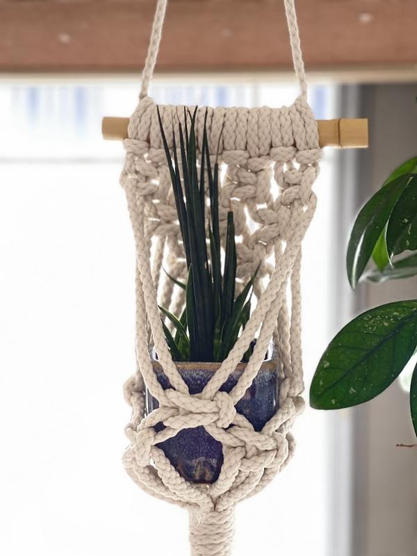 Holding a small succulent