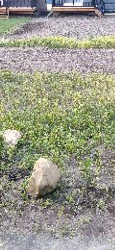 Photo - commentaire&nbsp;1.