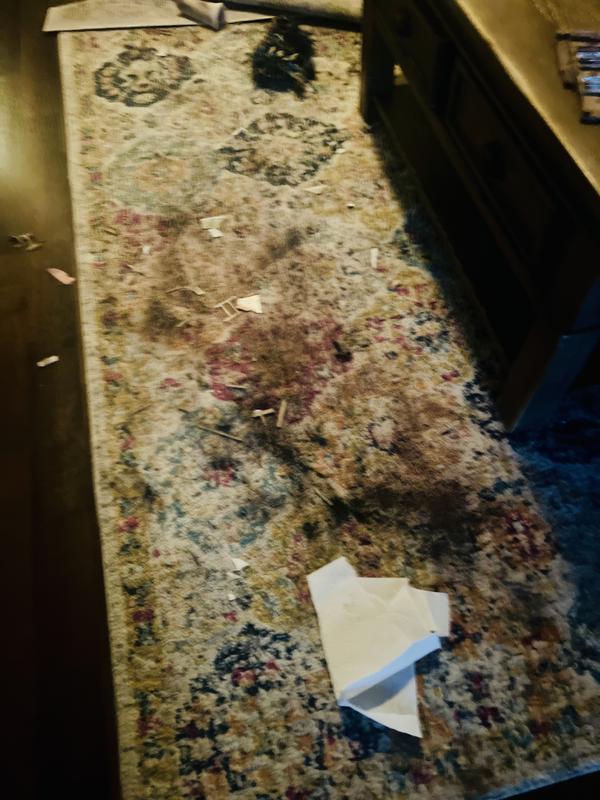 Photo - commentaire 6.