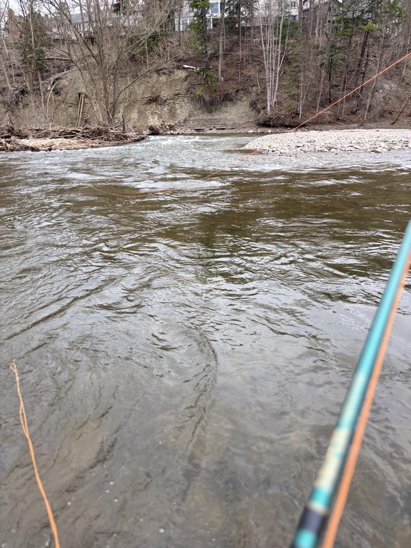 Photo - commentaire 1.