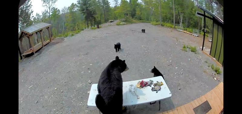 Photo - commentaire 3.