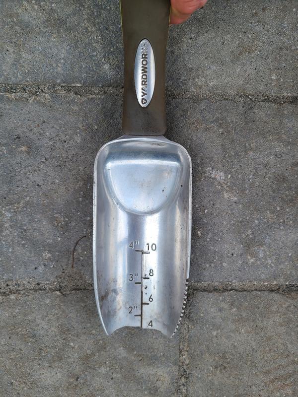 Photo - commentaire 1.