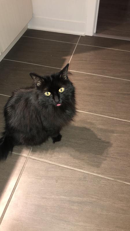 Photo - commentaire&nbsp;2.