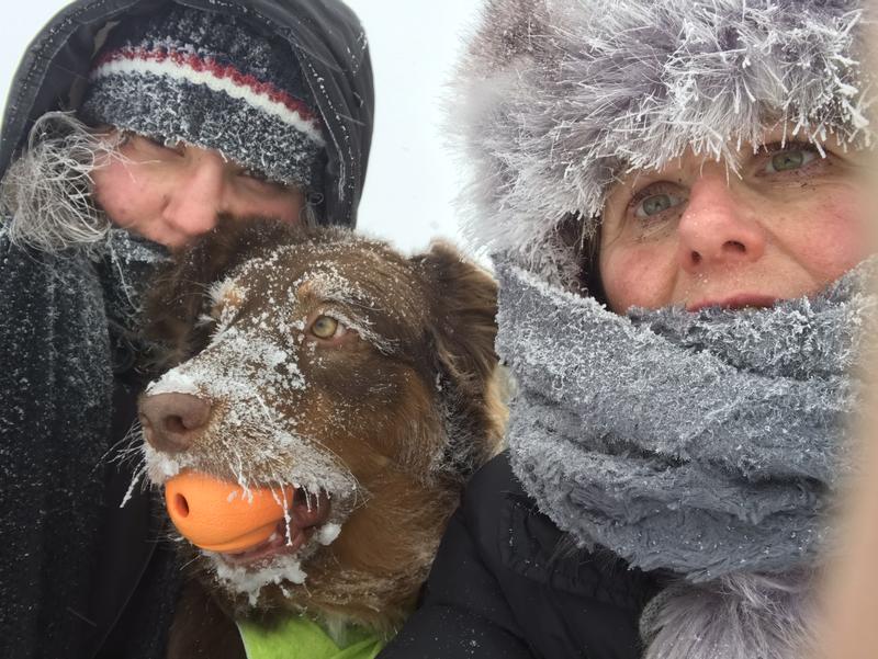 Photo - commentaire 1.