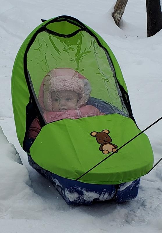 Dec 10 2021 Peanut in Peanut Sled