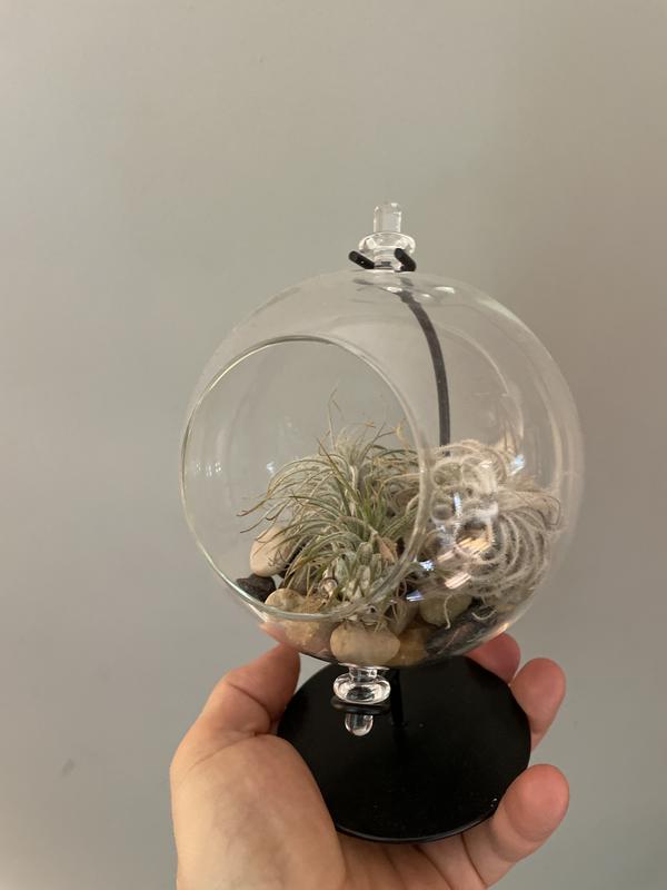 Photo - commentaire 1.