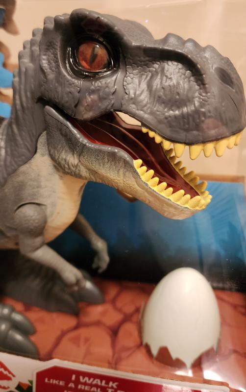 Photo - commentaire&nbsp;1.