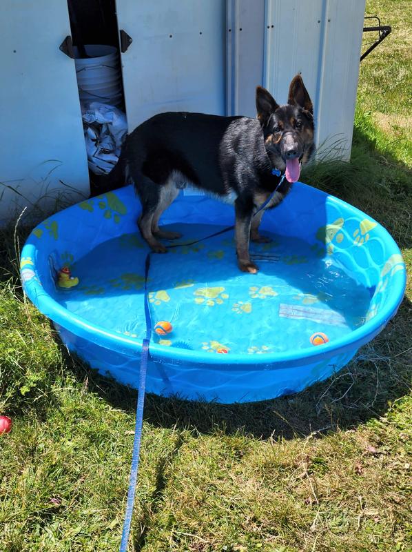 Large GSD in pool for size comparison