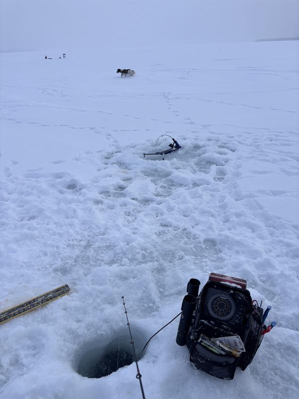 Photo - commentaire&nbsp;2.