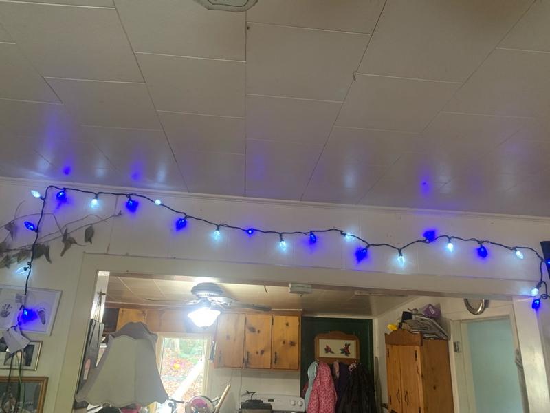 Photo - commentaire&nbsp;7.