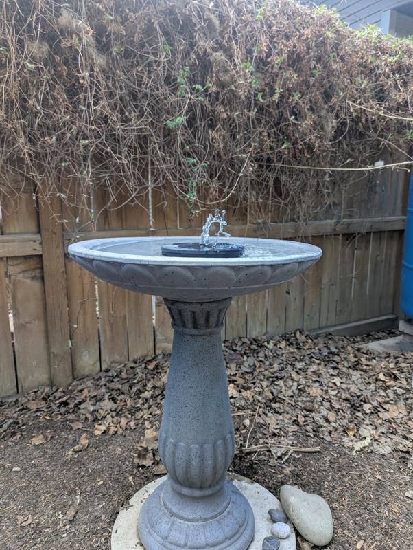 Photo - commentaire 3.