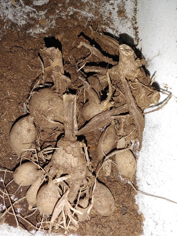 Photo - commentaire&nbsp;3.