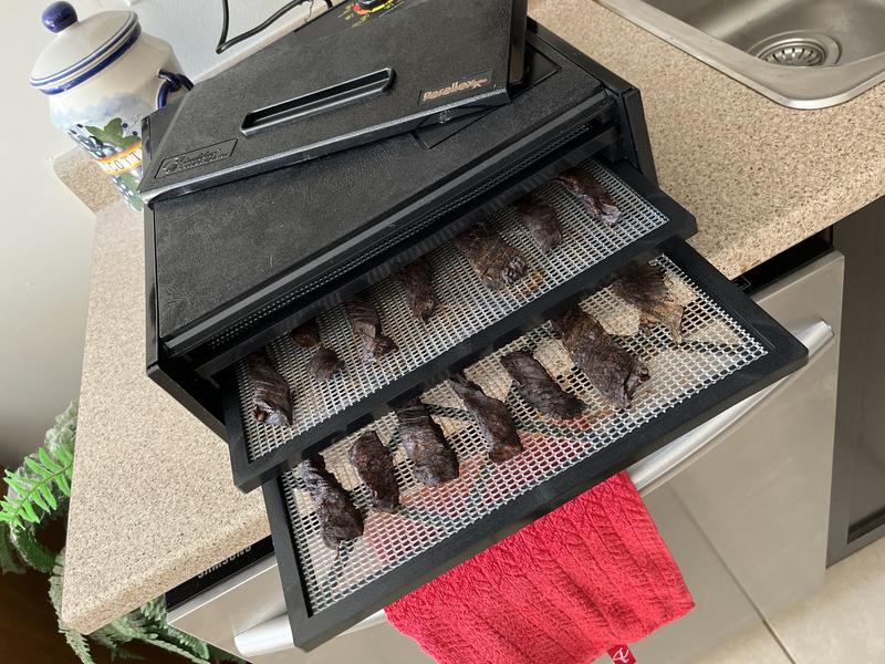 Jerky @ 5 hrs - great taste. Should be ready in 1 hr