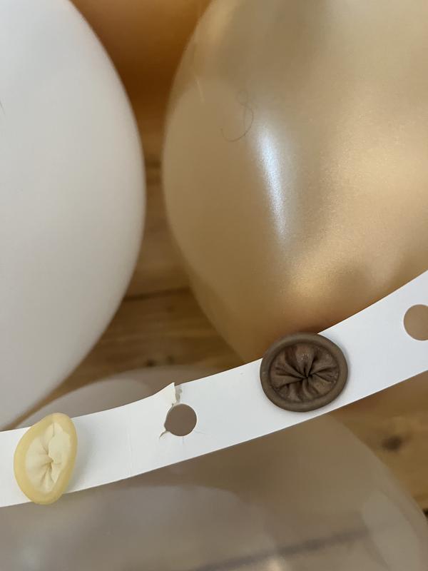 Photo - commentaire 3