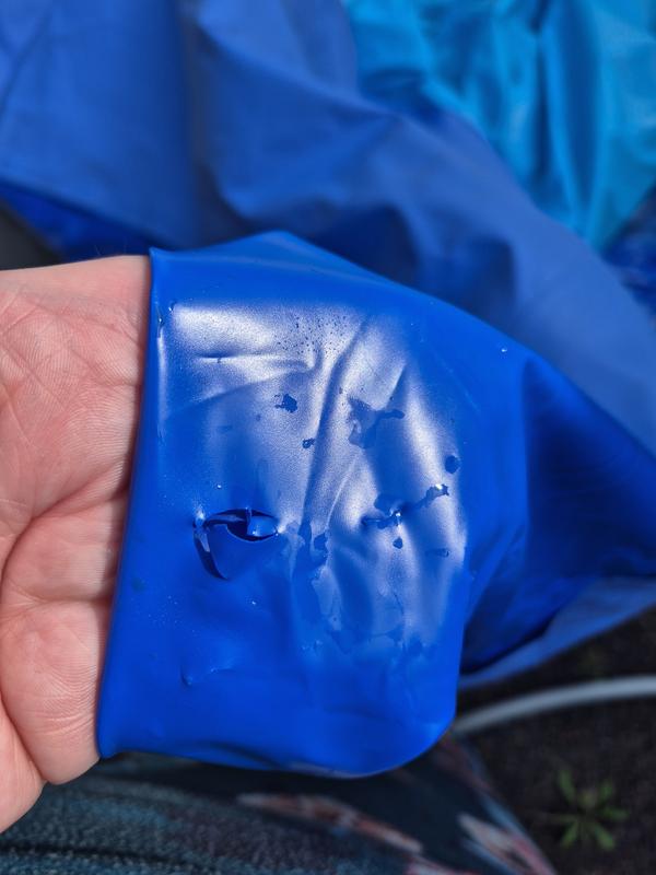 Photo - commentaire 5.