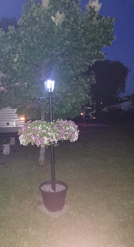 J ai fait des jaloux