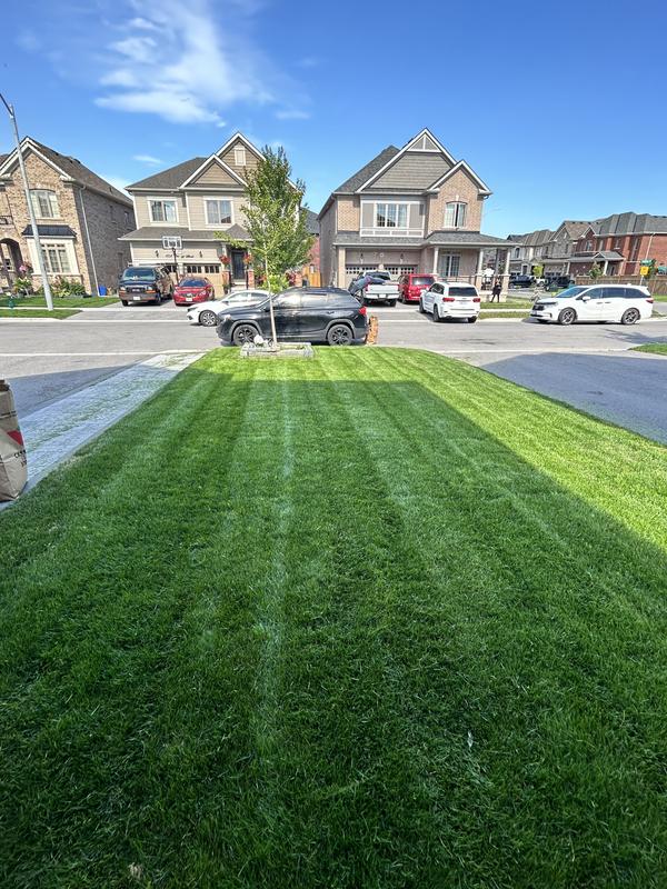 Photo - commentaire 6.