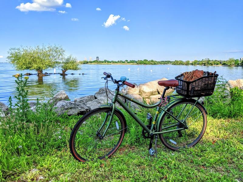 The basket on my bike
