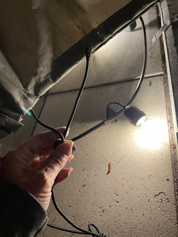 Photo - commentaire&nbsp;2.