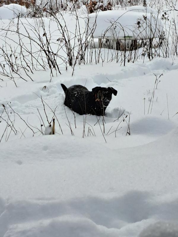 Photo - commentaire 1.