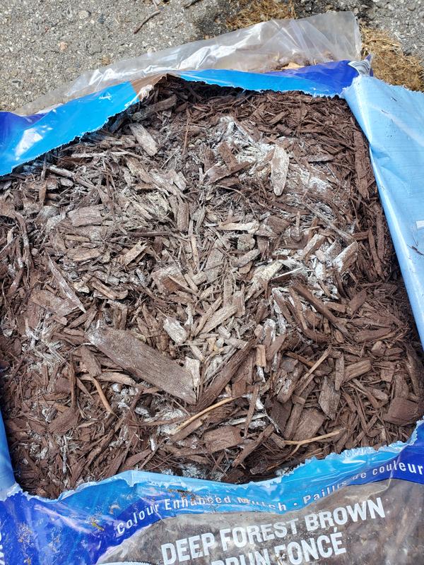 Unusable stinky mouldy bag