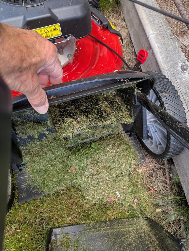 Photo - commentaire 2.