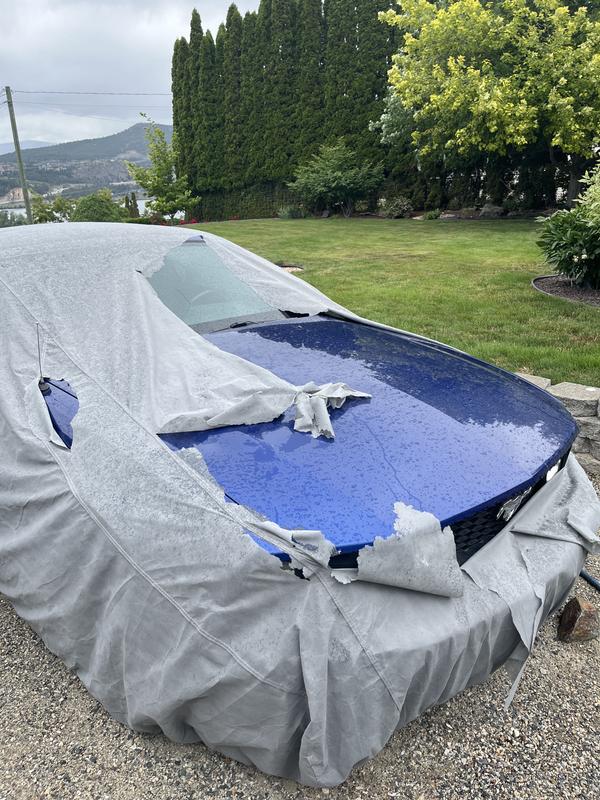 Photo - commentaire 1.