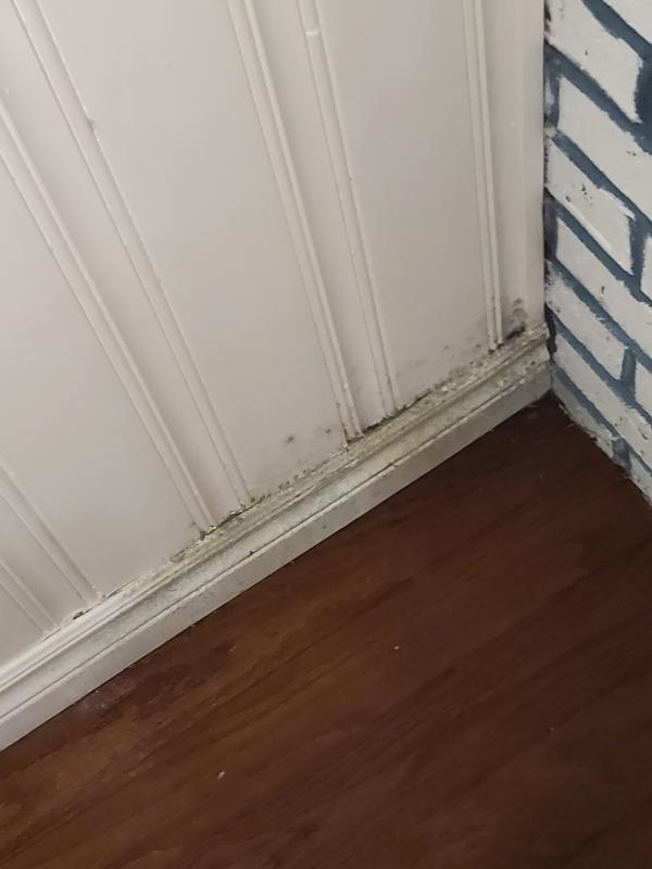 Photo - commentaire&nbsp;3.